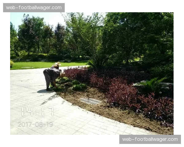 深度报道:中超各队主场草皮冬季养护效果评估报告 深度报道:中超各队主场草皮冬季养护效果评估报告