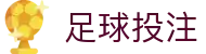 足球投注 - 顶尖足球赛事娱乐服务平台 